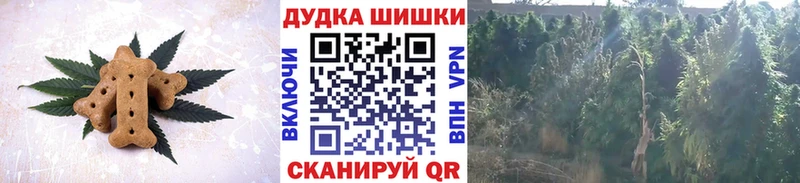 где продают наркотики  Скопин  Cannafood конопля 