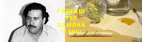 стаф Пересвет