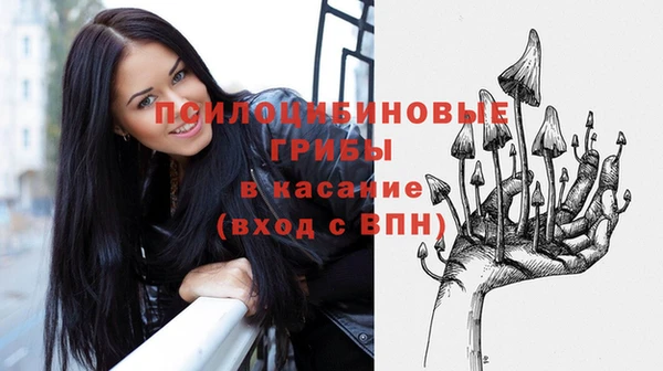дмт Покровск
