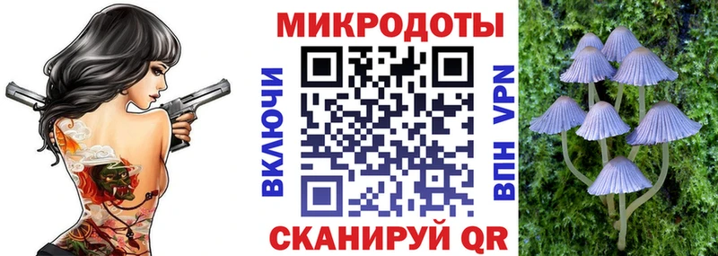 как найти   Скопин  Галлюциногенные грибы Psilocybine cubensis 