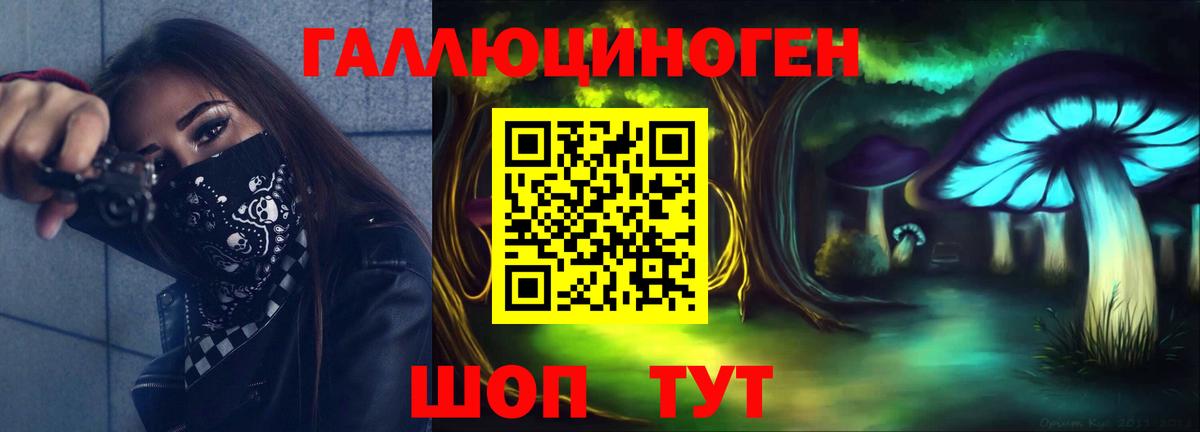 Галлюциногенные грибы Psilocybine cubensis Скопин
